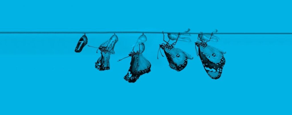Must Haves Before getting started on adopting Agile Ways of Working – Part 1
