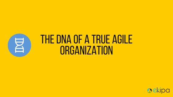 Agile organisation DNA
